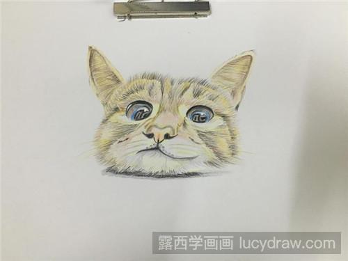 小萌猫彩铅画教程