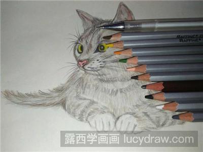 彩铅画教程：教你画猫