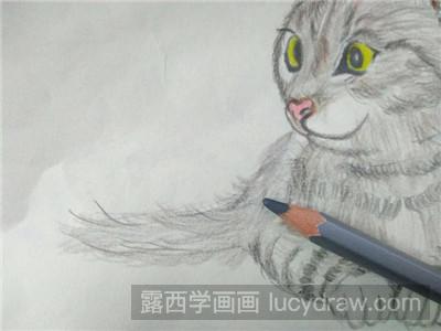 彩铅画教程：教你画猫