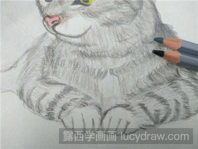 彩铅画教程：教你画猫