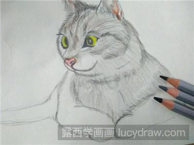 彩铅画教程：教你画猫