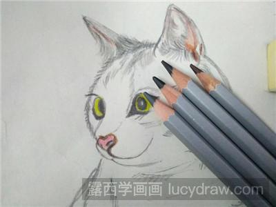 彩铅画教程：教你画猫