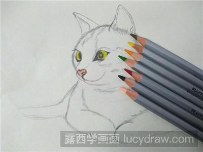 彩铅画教程：教你画猫