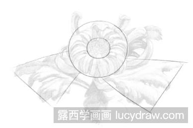 素描画菊花步骤教程