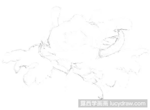 素描画菊花步骤教程