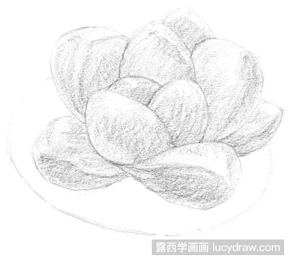 素描画多肉植物之玉露