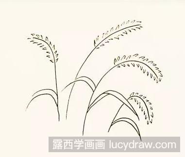植物简笔画：狗尾巴草的画法