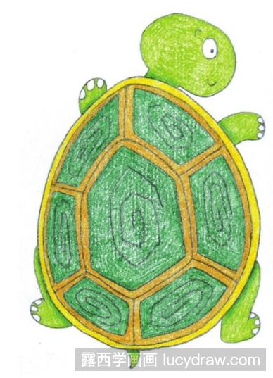 动物儿童画：教你画可爱的小乌龟