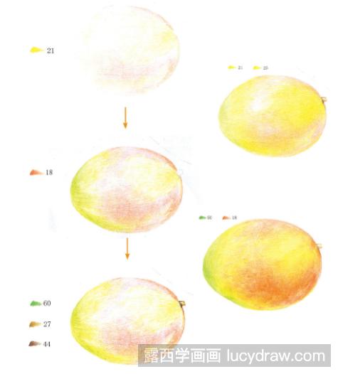 彩铅画教程：怎么画芒果