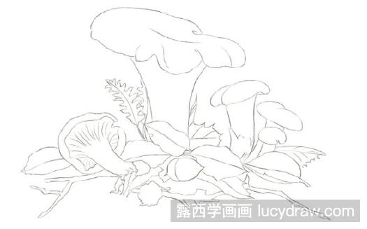 彩铅画教程：怎么画鸡油菌