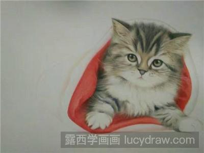 彩铅画教程：教你画猫