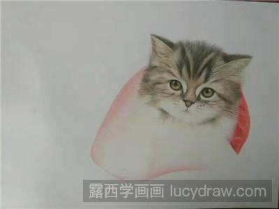 彩铅画教程：教你画猫