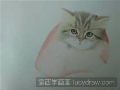 彩铅画教程：教你画猫