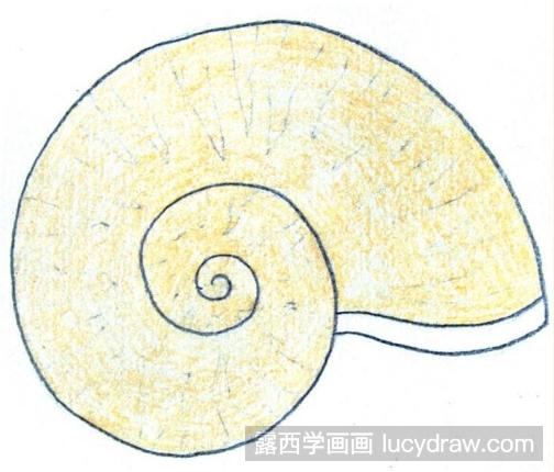右旋海螺的画图图片