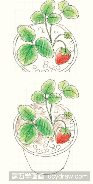 草莓苗水彩画图片
