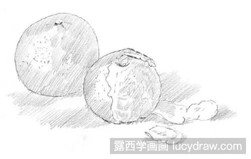 桔子素描教程