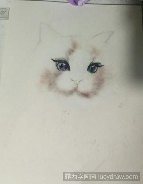 怎么用色粉画布偶猫