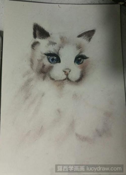 怎么用色粉画布偶猫