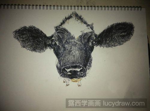 怎样用钢笔画牛