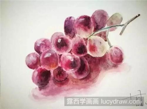 水彩葡萄的画法