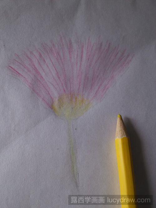 合欢花的彩铅画法