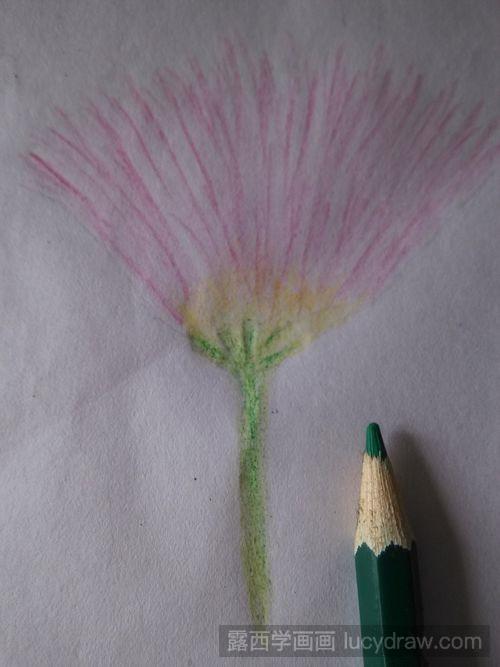合欢花的彩铅画法