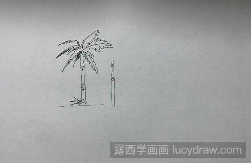 速写椰子树怎么画