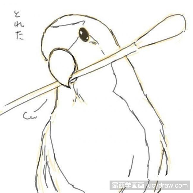 鹦鹉怎么画?手绘鹦鹉过程