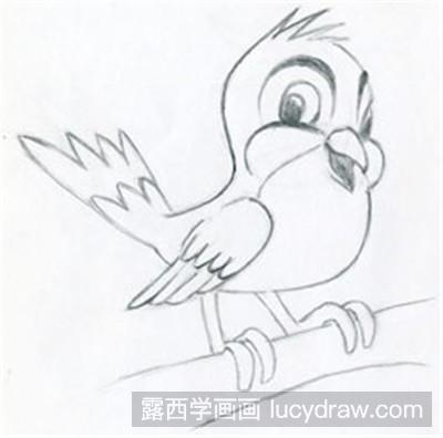 鸟的卡通画法