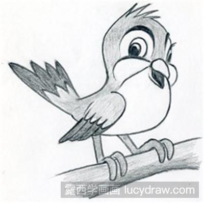 鸟的卡通画法