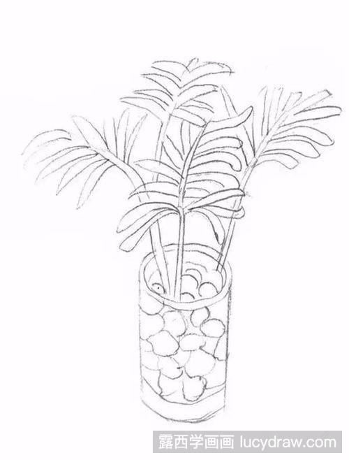 袖珍椰子绘画图片
