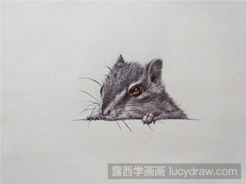 怎么用圆珠笔画松鼠