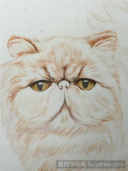 彩铅加菲猫怎么画