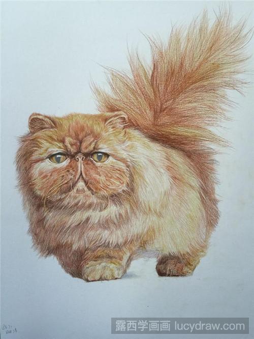 彩铅加菲猫怎么画