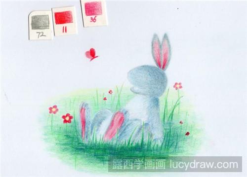 兔子的彩铅画法