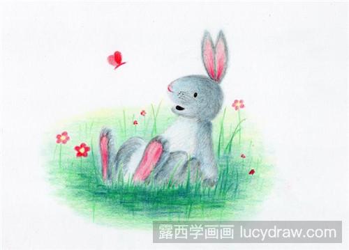 兔子的彩铅画法