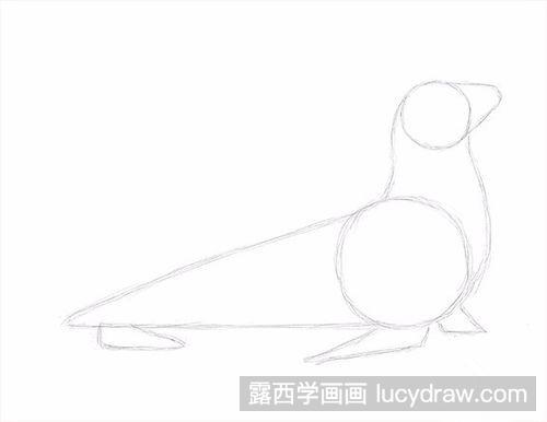 怎么素描画海狮