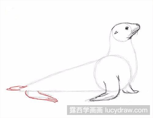 怎么素描画海狮