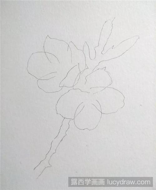 彩铅樱花怎么画