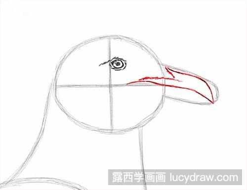 海鸥的素描画法