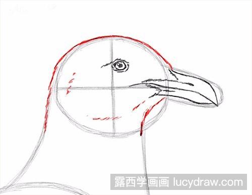 海鸥的素描画法