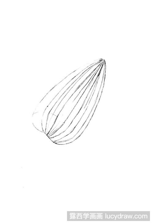 瓜子壳简笔画图片