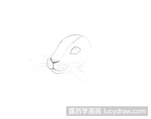 素描兔子怎么画