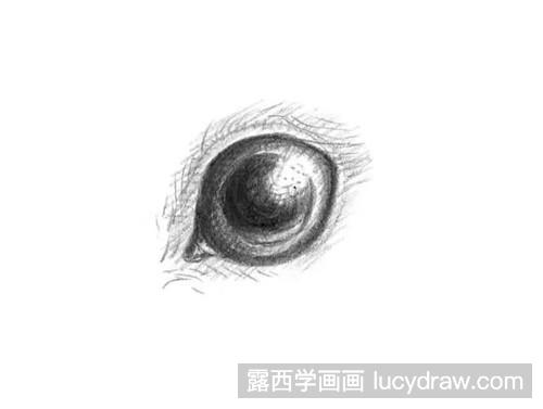 素描兔子怎么画