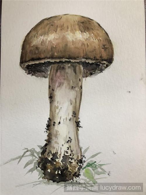 水彩怎么画蘑菇