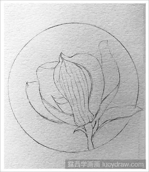 玉兰花画法彩铅步骤