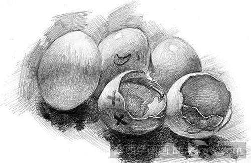 素描蛋壳的绘画步骤