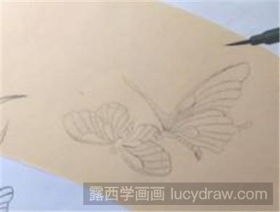 工笔画蝴蝶的画法