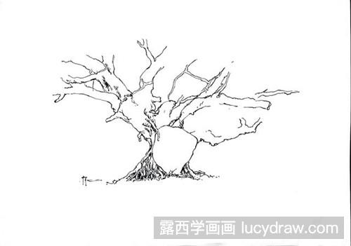 榕树画法