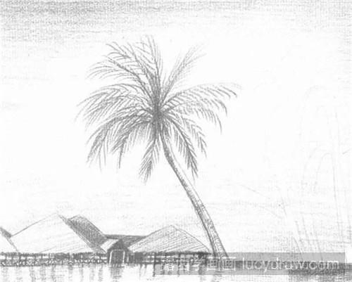 椰子树素描步骤